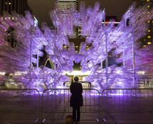 Ai Weiwei-"Forever bicycles"