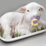A Pasqua non mangiate agnelli e capretti