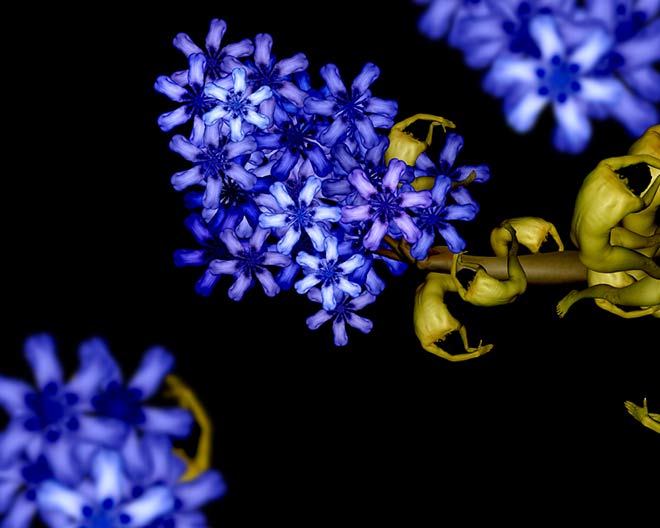 Cecelia Webber - Blue Lilac - Human Body art