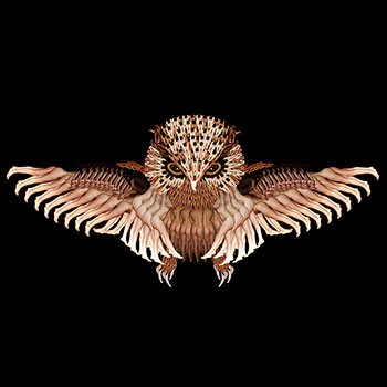 Night Owl - Human Body art