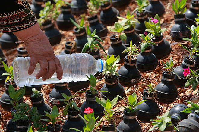 Dalle granate nascono i fiori - Giardino creativo in Palestina
