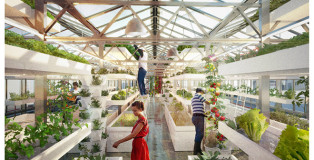 Urban farmers rooftop - Design strategico