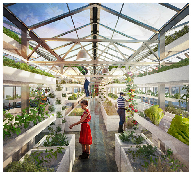 Urban farmers rooftop – Design strategico