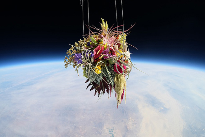  Exobiotanica, Botanical space flight