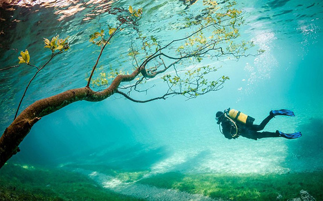 Third Place Winner: “Diver in Magic Kingdom” – Marc Henauer