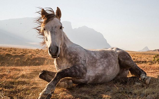 Merit Prize Winner: “Khotso. Peace at Devil’s Knuckles” – Byron Inggs