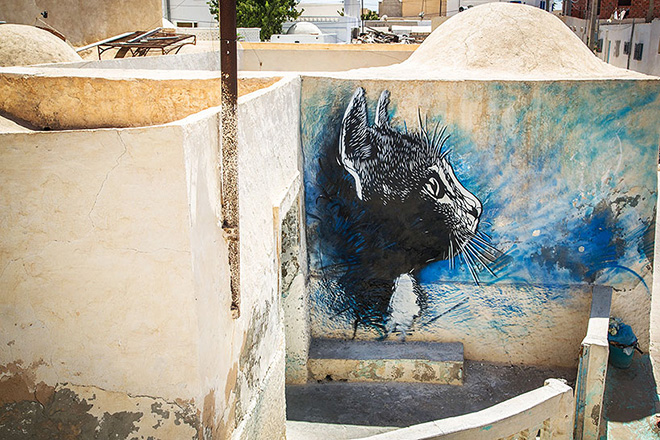  Il villaggio della street art in Tunisia, painting of a cat by french artist C215