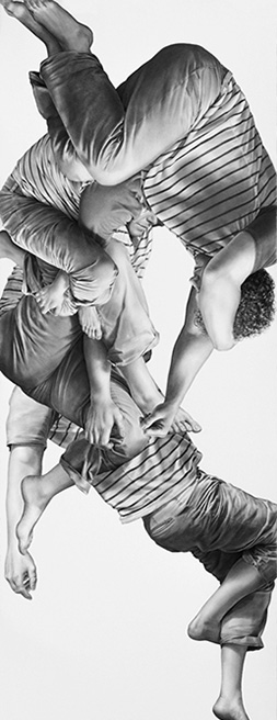 Leah Yerpe - Tucana, 18 X 50 Inches Graphite And Ink On Paper, 2012