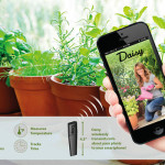 Daisy – Comunicare con le piante