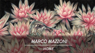 Marco Mazzoni - Home
