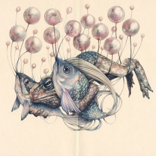 Marco Mazzoni - The carrier - colored pencils