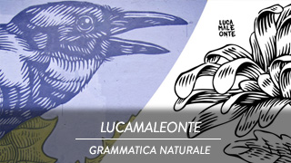 Lucamaleonte - Grammatica naturale