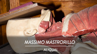 Massimo Mastrorillo - Aliqual