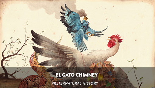 El Gato Chimney - Preternatural History