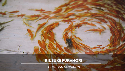 Riusuke Fukahori - Goldfish Salvation