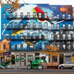 The Audubon Mural Project – New York invasa da volatili