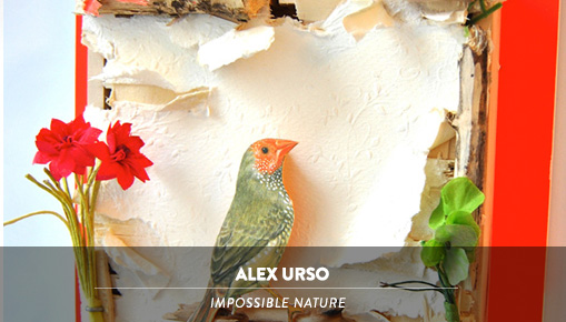Alex Urso - Impossible Nature