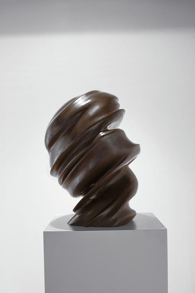 TONY CRAGG - Untitled (Secret thoughts), 2002, bronzo patinato, 85 x 60 x 50 cm. BSI Art Collection, Svizzera