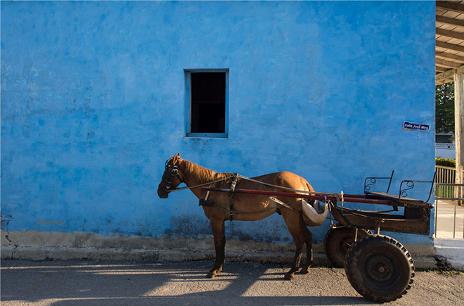 Paolo Simonazzi - Mantua, Cuba, 2015, photo RAG - B, right white, 100% cotone 250 gr