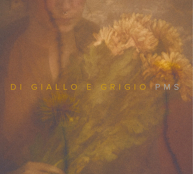 PMS - Di giallo e grigio, Cover. Artwork by Gaia Giannini