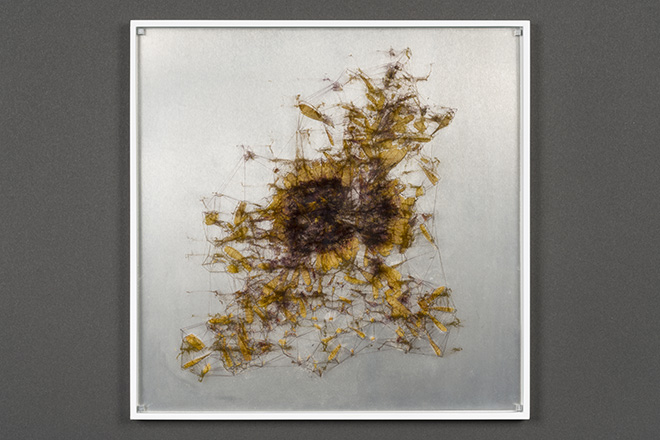 Ryoichi Kurokawa - elementum #8, 2018. Tecnica mista (stampa digitale, fiori pressati, alluminio, vetro), 12 x 260 x 260 mm. © L’artista. Courtesy Takuro Someya Contemporary Art
