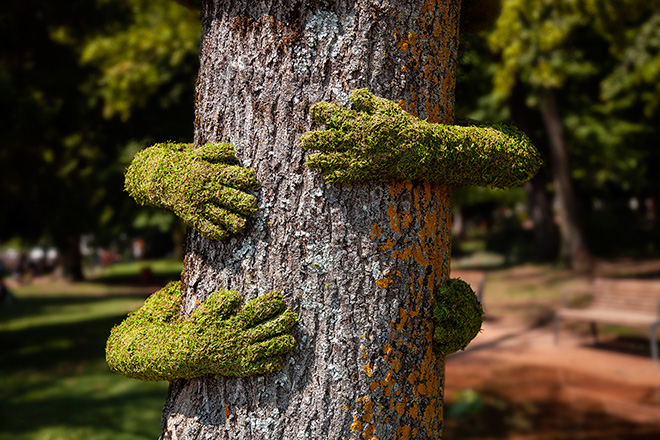 Monsieur Plant - TREE HUG, Annecy, 2019