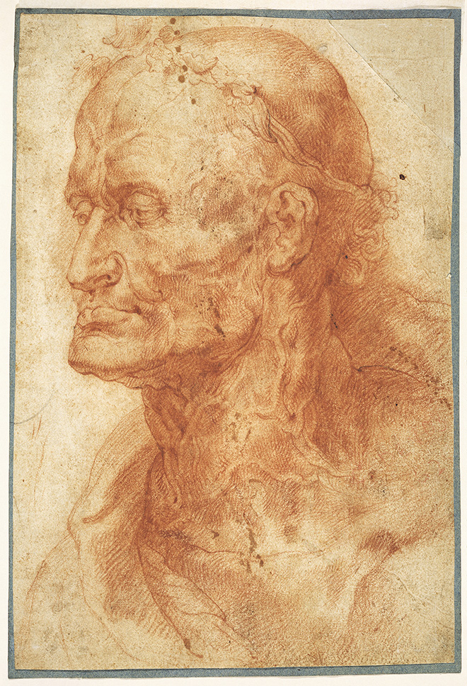 Peter Paul Rubens, Head Study of an old man, Rubenshuis, Antwerp © Collectie Stad Antwerpen, Rubenshuis, photo: Michel Wuyts & Louis De Peuter