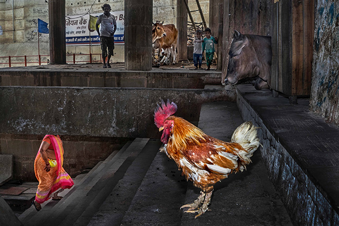 Enamul Kabir - Coexistence (STREETS Category), URBAN 2019 Photo Awards Winner Overall