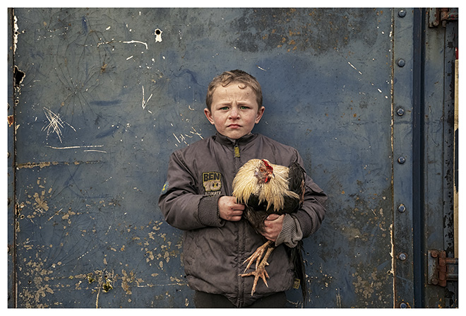 Bob Newman - Pa And His Pet Rooster - Irish Traveller Boy. Pa lives with his family in a Traveller Roadside Camp in Cashel, Ireland. Particular Merit Mention, AAP Magazine 10 Portrait