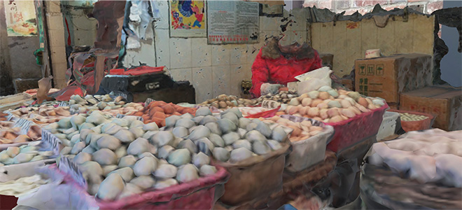 John Craig Freeman - Wuhan's Wet Market