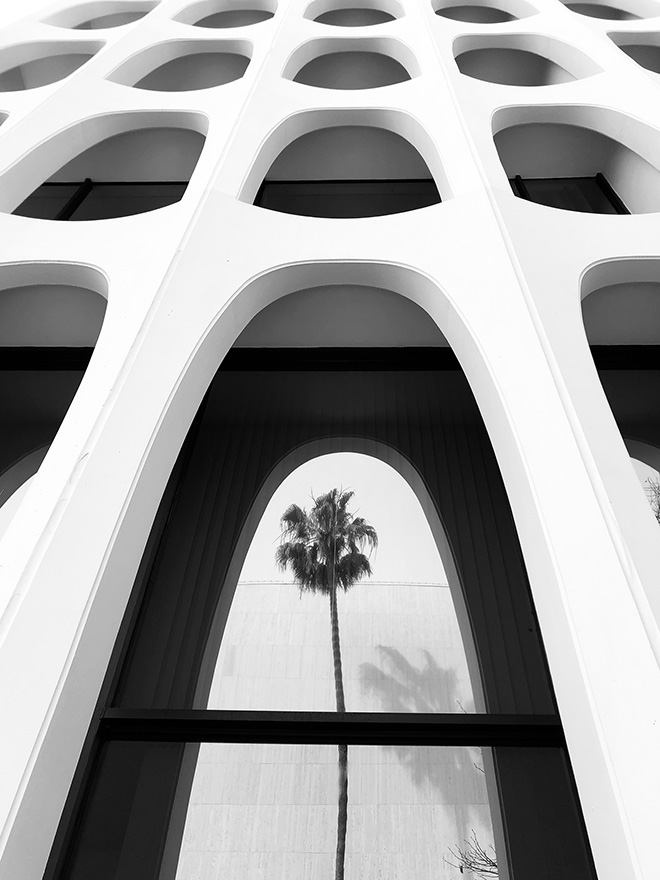 Emilia Kashfian, United States - Palm tree series #5. Location: Los Angeles, California. Shot on iPhone 8 Plus. Second Place - Architecture. © IPPAWARDS - 2020 Winners