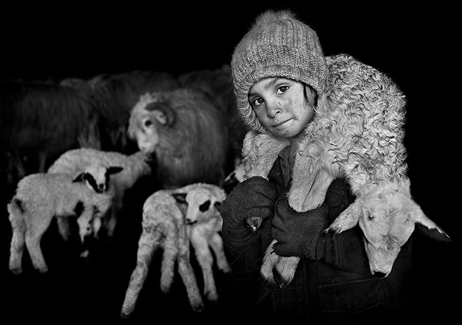 Istvan Kerekes – Shepherds from Transylvania