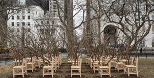 Installation view of Hugh Hayden’s Brier Patch in Madison Square Park, New York, 2021/2022. Photo by Yasunori Matsui.