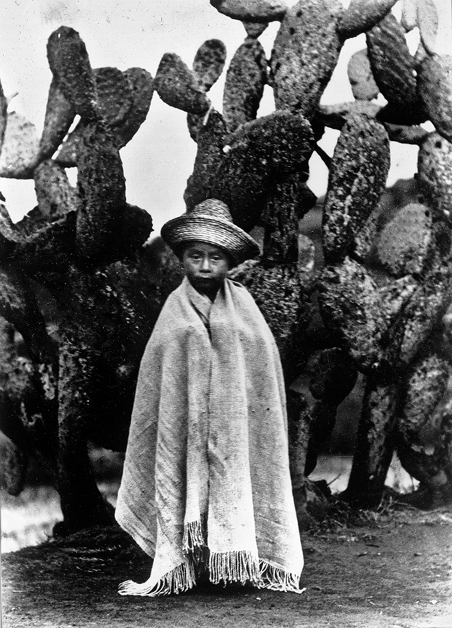 Tina Modotti - Bambino davanti a un cactus. Anno: 1928 ca, Messico. © Tina Modotti