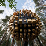 Biosphere Treehouse Hotel – Dormire tra alberi e uccelli