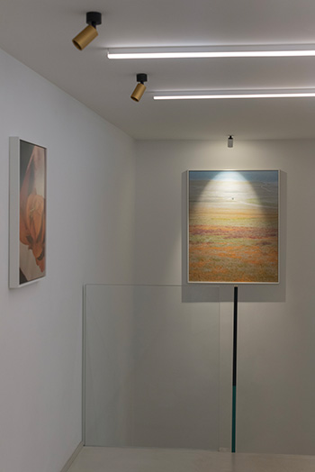 Arianna Lago - Surrender, installation view, Tempesta Gallery
