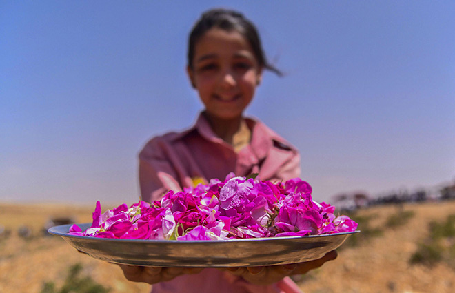 LA ROSA DI DAMASCO. Dalla Siria a Torino