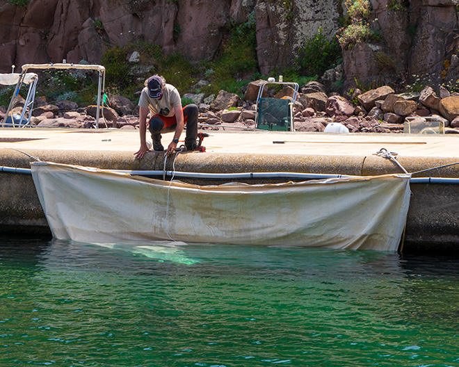 Roberto Ghezzi - ANADYOMENE, installazione per la creazione di Naturografia, Porto Marina di Capraia, Isola Capraia, 2024. photo credit: Luca Baldassari