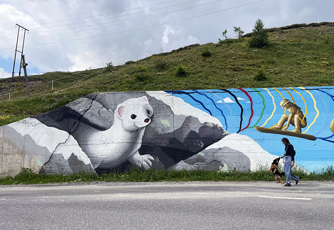 Luca Rancy - Ermellino, Tina, Milo, Olimpiadi Milano 2026, Livigno Alp Colors. photo credit: Urban Colors