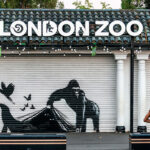 Banksy – “La grande fuga” dal ZSL London Zoo