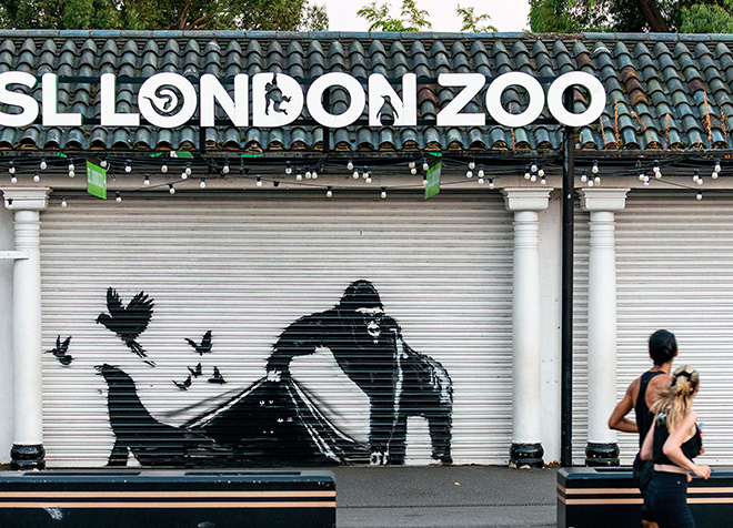 Banksy – “La grande fuga” dal ZSL London Zoo