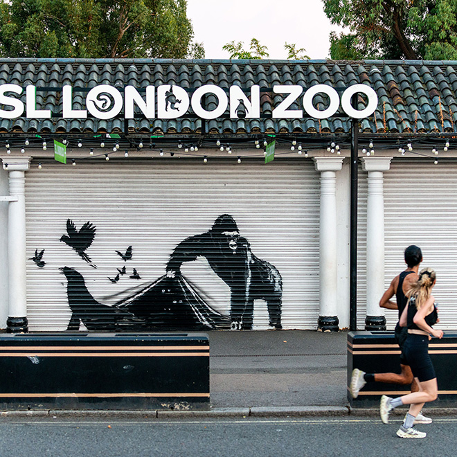 BBanksy - The escape from ZSL London Zoo