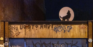 Banksy - The Wolf, Rye Lane, Peckam, Londra