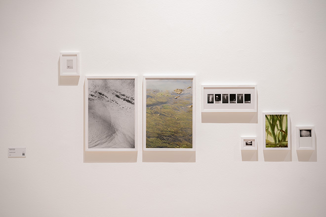 Alessandra Book - A Song For Our Ancestors, installation view Premio Driving Energy 2024 - Fotografia Contemporanea, Palazzo Esposizioni, Roma