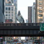 Iván Argote – “Dinosaur”, High Line Plinth, New York