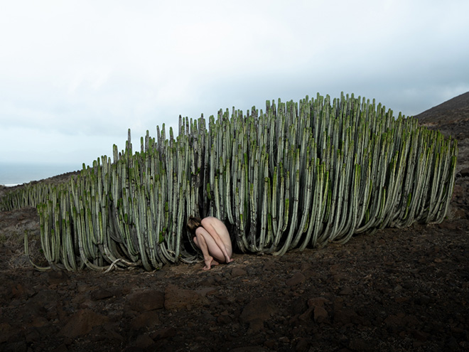 Agnieszka Ostrowska - fitting in, Fuerteventura, Canary Islands, Creative Photo Awards 2024