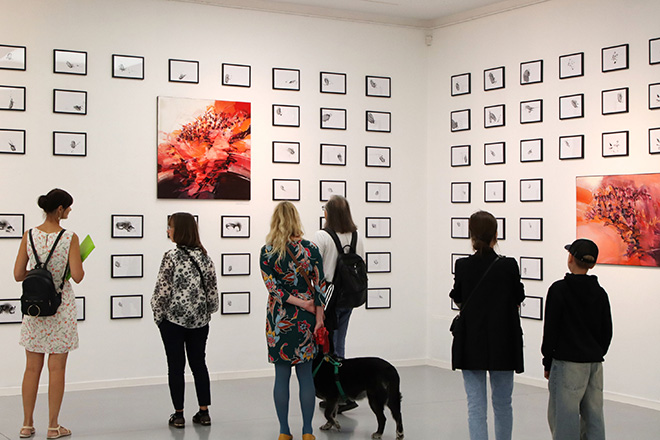 Robert Proch - Animated Perception, installation view, Gdańska 20. Courtesy of Galeria Miejska bwa w Bydgoszczy. Photo: T. Zieliński