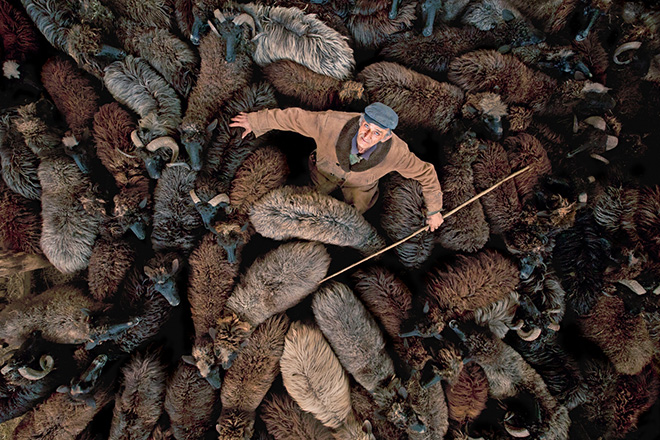 ©Ivo Danchev - Shepherd with herd, Dimitrovgrad, Serbia, Drone Photo Awards 2024