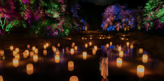 teamLab – Hidden Traces of Rice Terraces Hot Spring