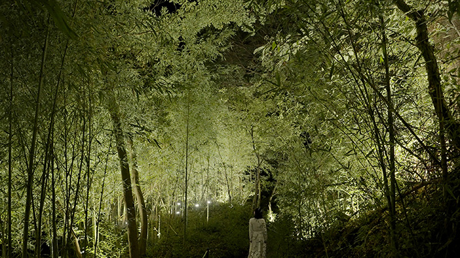 teamLab, Bamboo Forest of the Secret Valley, 2023/2024, Digital Installation, Sound: Hideaki Takahashi. This artwork is part of a series based on Excavated Path Leading to the Ancient Sacred Tree (2023). © teamLab, courtesy Pace Gallery